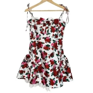Dolls Kill Sugar Thrillz Womens Tender Romance Sleeveless Mini Dress Size XL - Picture 1 of 10
