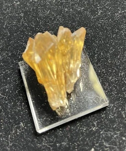 CLÚSTER DE CRISTAL DE CALCITA DORADA FLORIDA 1,25"" EE. UU. - Imagen 1 de 6