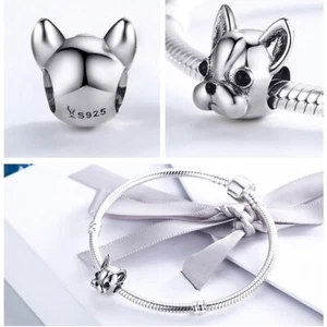 CHARM ARGENT 925 CHIEN BOULEDOGUE FRANÇAIS BRACELET PENDENTIF FEMME - Imagen 1 de 3