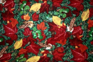 THE GREAT OUTDOORS FLANNEL FROM  RJR FABRICS - 100% COTTON FABRIC - Picture 1 of 5