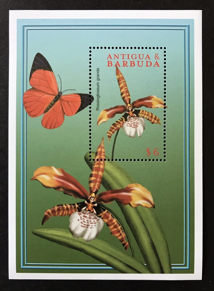 2000 MNH ANTIGUA FLOWERS SOUVENIR SHEET FLOWER PLANT ORCHID BUTTERFLY STAMPS - Image 1 of 1