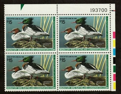 Scott RW61 Red Breasted Mergansers Plate block of 4 MNH  Free shipping in USA!!! - Image 1 of 2