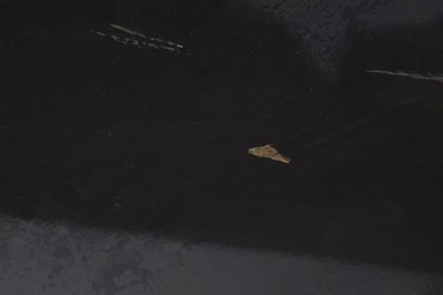 Nissan Sentra 2007-2012 puerta delantera del conductor 80101-Et030 Foto 1 de 4