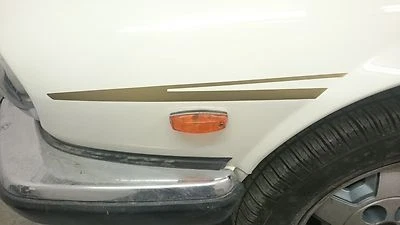 AUTOGRAPHIC Kit Coachline Jaguar XJS Righe Corpo XJ-S XJC Coupe Lynx Eventer NUOVO KIT