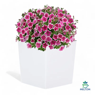 Blumenkübel Eckig Hochglanz Übertopf Blumentopf Einsatz Weiß XXL (H:41cm) - Bild 1 von 4