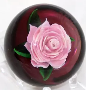 ELEGANTER Rick AYOTTE rosa ROSE über Preiselbeere gemahlen Kunst Glas BRIEFBESCHWERER - Bild 1 von 10