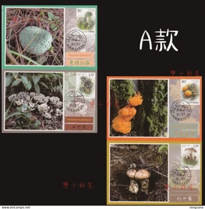 2025-11 CHINA MUSHROOM(II) LOCAL MC-S - Picture 1 of 1