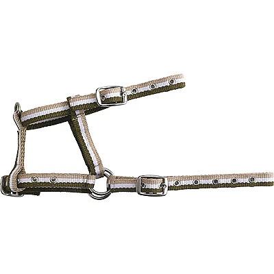 Verstellbares Fohlenhalfter - Bild 1 von 4