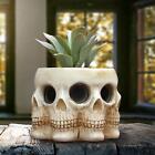 Figurine crâne multivisages planteuse de fleurs polyrésine 4,7 x 4,6 x 3,7 pouces jardin