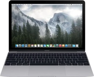 Apple MacBook 2016 12" (Intel Core M3 1,1 GHz 8 GB RAM 256 GB SSD) gris espacial - Imagen 1 de 1