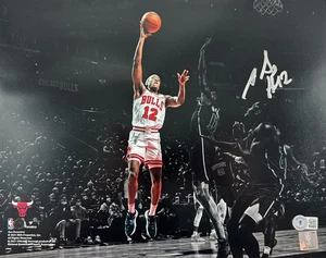 Ayo Dosunmu Chicago Bulls Rookie Signed Autographed 11x14 Photo Beckett COA - Picture 1 of 1