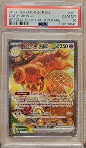 2024 POKEMON SCR EN-STELLAR CROWN SPECIAL ILLUSTRATION RARE DACHSBUN EX PSA 10 - Picture 1 of 2