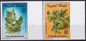 Marruecos 1988 Yvert 1052/53 flores imperforadas - Imagen 1 de 1