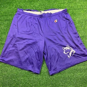 Vintage 70's 80's Washington State Huskies Champion Basketball Shorts Purple 36 - Picture 1 of 11