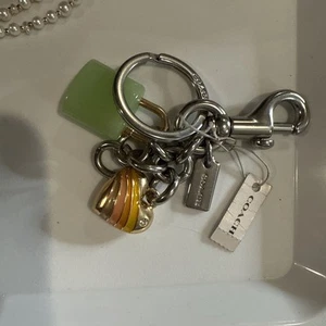 NWT  Coach Key Cluster Bag Charm Keychain Multi-Color CP891 Missing Key See Pics - Picture 1 of 5