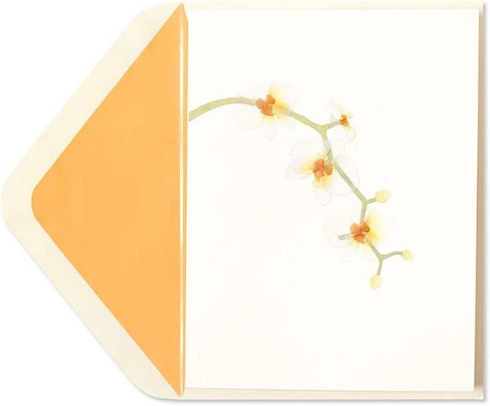 Papyrus Card High Quality Orchid Blank Card, 1 Each, Multicolor - Image 1 of 1