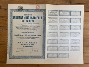 BERGBAU & INDUSTRIE VON TAMEGA (RUSSLAND) 1925 - Bild 1 von 1