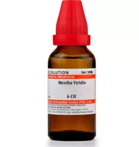 Dr Willmar Schwabe India Mentha Viridis 6 CH Dilution 30 ml n438 - Picture 1 of 5