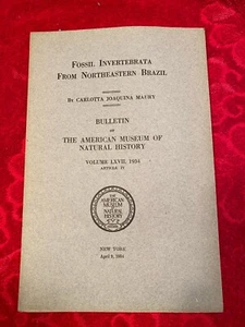 Fossil Invertebrata from Northeastern Brazil by Carlotta Joaquina Maury - Picture 1 of 1