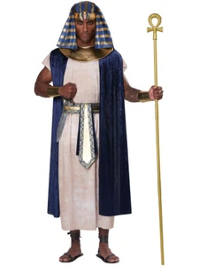 Ancient Egyptian Pharaoh Ruler Adult's Costume Small-Medium 6-10 - Picture 1 of 1
