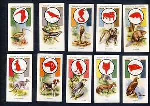 Players "Boy Scout & Girl Guide". 49 cards from a series of 50. - Picture 1 of 6