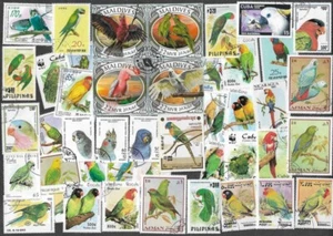 PARROTS -MACAWS-PARAKEETS ETC ON STAMPS 100 ALL DIFFERENT COLLECTION     1/6/25 - Picture 1 of 2