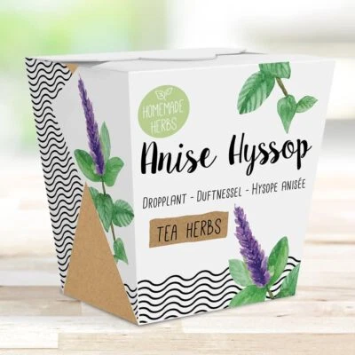 Kit de hierbas caseras - Kit de cultivo de hisopo de anís todo en uno - Maceta de jardín interior Foto 1 de 4