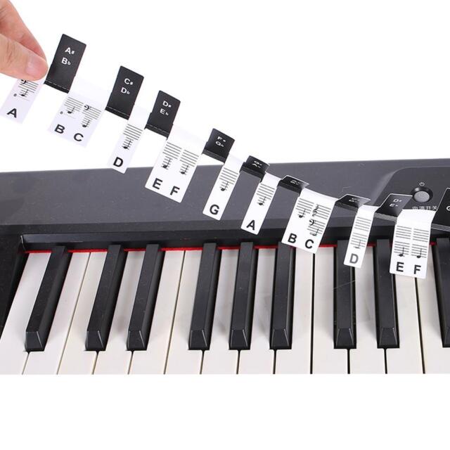 61 teclas 88 teclas removível piano para etiquetas chaves teclado