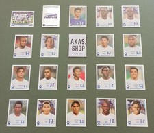 Honduras Team or Single FIFA World Cup South Africa 2010 PANINI Sticker TOP
