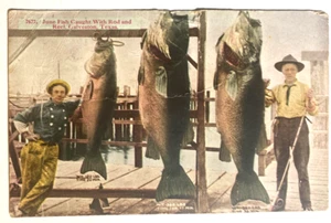 VINTAGE POSTCARD  1914 JUNE FISH CAUGHT WITH ROD AND REEL GALVESTON TEXAS 7677 - Picture 1 of 3