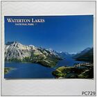 Waterton Lakes National Park Alberta Canada 2004 Postcard (P729)