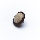 NEW 100 X Furniture Glides Carpet Based Nail In Heavy Duty Steel Shell 25mm - On