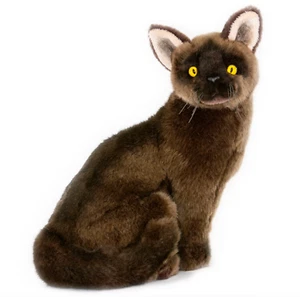~❤️~Burmese Sable CAT Nutmeg BOCCHETTA 26cm 12" brown plush soft toy BNWT~❤️~ - Picture 1 of 3
