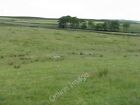 Photo 6x4 Fields by the Old Clitheroe Road Knowle Green/SD6338  c2010