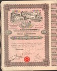 Argentyna Banco Espanol del Rio de la Plata Accion Ordinaria de 100 pesos 1924