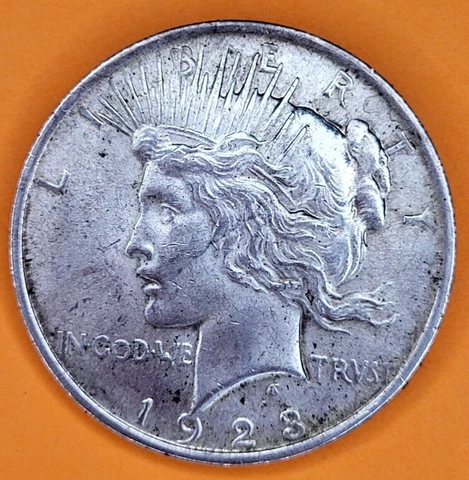 1923 Peace Dollar Silver Coin Speckled Toning Die Error Hair Cud w/ VIDEO Cover