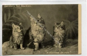(Gb1542-483) Landors Cat Studies, A Mother of Two 1904 VG-EX - Picture 1 of 2