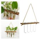 Wall Hanging Glass  Planter Flower Vase for Hydroponics Plants, Rustic Wood
