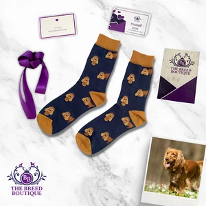 GOLDEN COCKER SPANIEL SOCKS UNISEX FUN ONE SIZE FIT UK ADULT SIZE 5-11 EU 38-46 - Picture 1 of 9