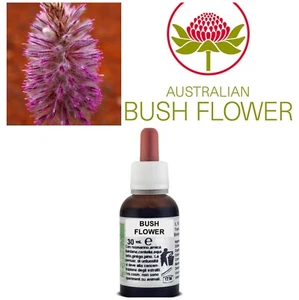 FIORI AUSTRALIANI Tall Mulla Mulla PAURA DEL CONFRONTO COMPIACENZA/CORAGGIO 30ML - Foto 1 di 1