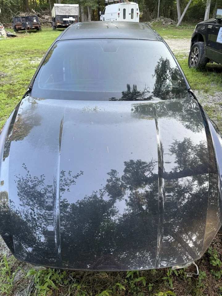 Maserati Ghibli M157 2014-2020 sedán capó delantero capó cubierta panel OEM Foto 1 de 1