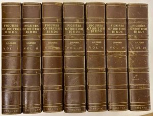 Lilford Birds of the British Isles 7 vols complete Porter 1885 1st 421 plates NF - Bild 1 von 7