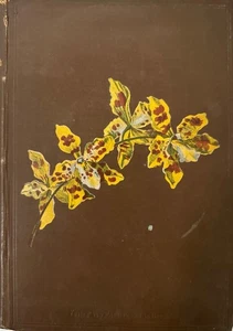 Stein's Orchideenbuch. Beschreibung, Abbildung und Kulturanweisung der empfehlen - Bild 1 von 2