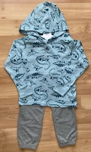 Carter's Kids / Boy Hoodie and Pant Set , Dinosaurs/Green, Grey size 6 - Picture 1 of 6