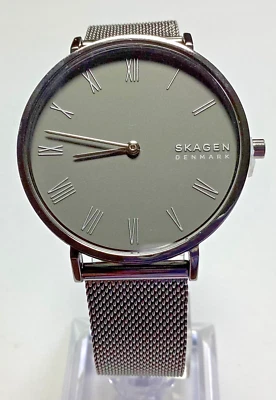 Reloj Skagen para mujer SKW2814 esfera gris correa de malla carbón batería nueva Foto 1 de 4
