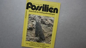 Fossilien Zeitschrift 1999 Heft 1, Das Oecoptychius-Rätsel , Fossiliensammeln - Bild 1 von 1