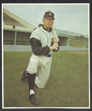 Tom Matchick  DETROIT TIGERS  UNSIGNED  6-3/4 x 8  PICTURE PACK PHOTO #1