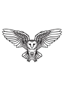 Autoaufkleber Sticker Eule Tier Aufkleber 9X9 cm - Picture 1 of 10