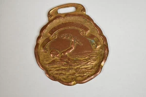 Antique 30 yd Breast Stroke Sports Award Medallion St.  Louis Button Co. - Picture 1 of 3