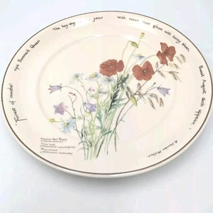 Plato de cena Noritake of Ireland Dairy of an Eduardian Lady Edith Holder 10 1/4" - Imagen 1 de 13
